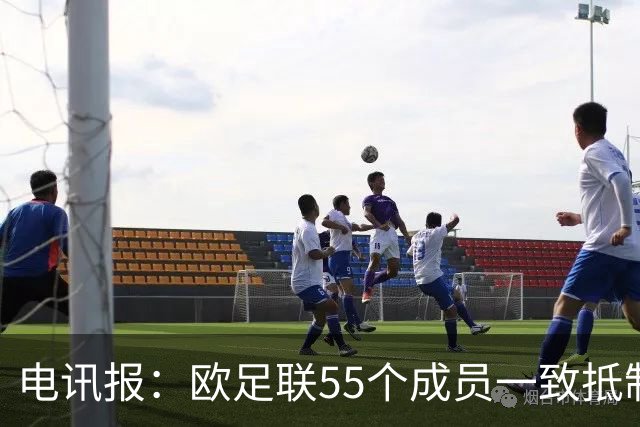 电讯报：欧足联55个成员一致抵制世界杯私有计划，30多个成员发言